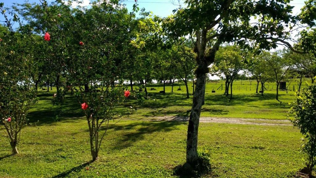 Balneário Queiroz